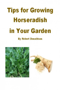 Robert Donaldson — Tips for Growing Horseradish in Your Garden