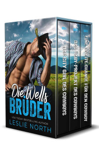 Leslie North — Die Wells Brüder: Die Komplette Serie (German Edition)