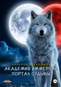 Алексей Герасимов — Академия Иммерсии: Портал судьбы