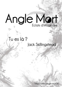 Jack Skillingstead — Angel Mort