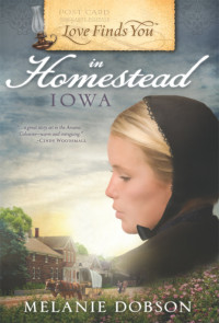 Melanie Dobson  — Love Finds You in Homestead, Iowa