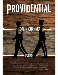 Colin Channer — Providential