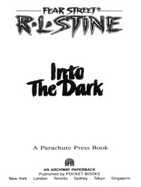 R.L. Stine & Bill Schmidt — Into the Dark
