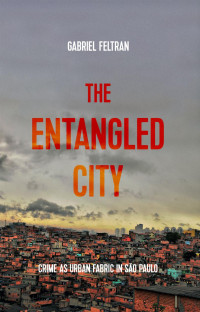 Gabriel Feltran — The entangled city: Crime as urban fabric in São Paulo