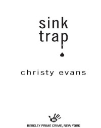 Christy Evans — Sink Trap