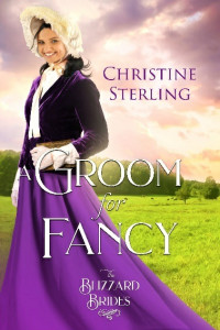 Christine Sterling — A Groom for Lauren: The Blizzard Brides Book 25