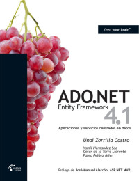 Unai Zorrilla Castro — ADO.NET Entity Framework 4.1