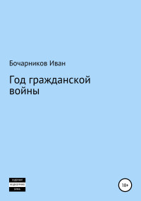 Иван Бочарников — Год гражданской войны