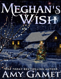 Amy Gamet [Gamet, Amy] — Meghan's Wish (Love and Danger, Book 4)