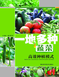 姚明华 — 一地多种蔬菜高效种植模式
