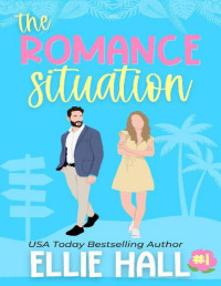 Ellie Hall — The Romance Situation : A grumpy sunshine mistaken identity clean romcom (Love, Laughs & Mystery in Coco Key Book 1)