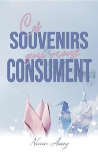 Ninon Amey — Ces souvenirs qui nous consument