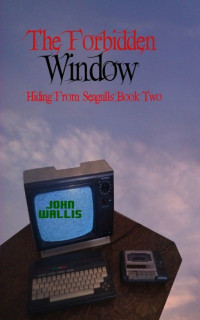 John Wallis — The Forbidden Window (Hiding from Seagulls Book 2)
