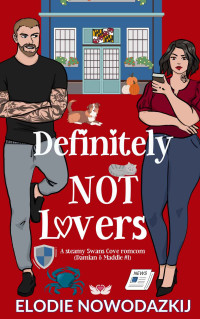 Nowodazkij, Elodie — Definitely Not Lovers (Damian & Maddie #1)