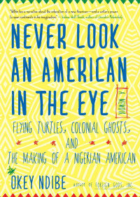 Okey Ndibe [Ndibe, Okey] — Never Look an American in the Eye