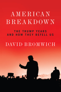 Bromwich, David; — American Breakdown