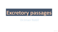Iman Nabil — Excretory passages