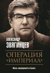 Александр Григорьевич Звягинцев — Операция «Империал»