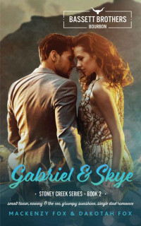 Mackenzy Fox & Dakotah Fox — Gabriel & Skye: Bassett Brothers Bourbon. A Small Town, Nanny & the CEO, Grumpy Sunshine, Single Dad Romance