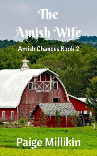 Paige Millikin — The Amish Wife (Amish Chances 02)