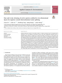 Yayun Pu — Fast and in situ releasing of active species confined in two-dimensional layers for superior overall electrochemical water splitting