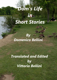 Victor Bellini — Dom's Life in Short Stories