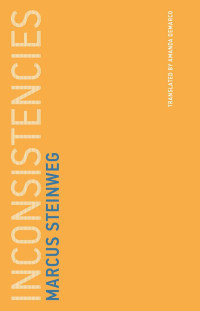 Marcus Steinweg — Inconsistencies