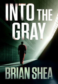 Brian Shea — Into the Gray