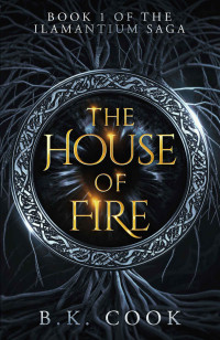 B. K. Cook — The House of Fire : A Coming of Age Fantasy (The Ilamantium Saga Book 1)