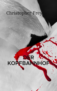 Christopher Frey — Der Kopfbahnhof