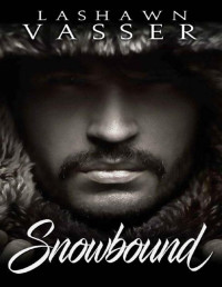 LaShawn Vasser — Snowbound: A Friends-To-Lovers Standalone Romance