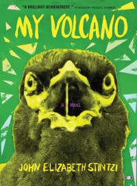 John Elizabeth Stintzi — My Volcano