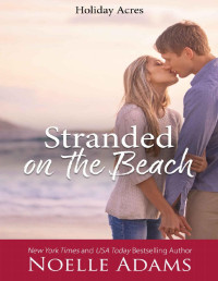 Noelle Adams — Stranded on the Beach (Holiday Acres Book 1)