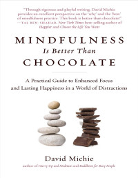 David Michie — Mindfulness Is Better Than Chocolate