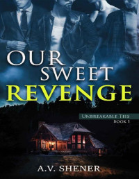 A.V. Shener — Our Sweet Revenge: A Dark Gay Thriller (Unbreakable Ties Book 1)