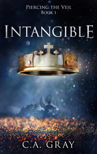 C.A. Gray — Intangible (Piercing the Veil, Book 1)