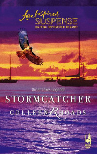 Colleen Rhoads — Stormcatcher