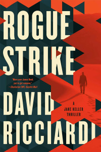 David Ricciardi — Rogue Strike