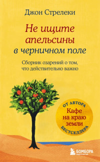 Стрелеки Джон П. — Не ищите апельсины в черничном поле. Сборник озарений о том, что действительно важно