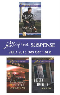 Valerie Hansen, Sandra Orchard, Carol J. Post — Love Inspired Suspense July 2015 - Box Set 1 of 2: An Anthology