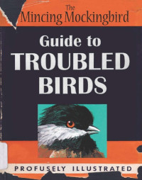Mockingbird The Mincing — Guide to Troubled Birds