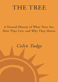 Colin Tudge — The Tree