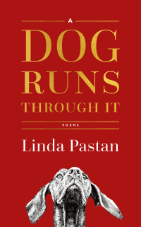 Linda Pastan — A Dog Runs Through It