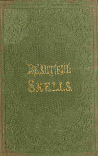 H. G. Adams — Beautiful shells