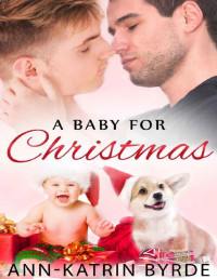 Ann-Katrin Byrde [Byrde, Ann-Katrin] — A Baby for Christmas