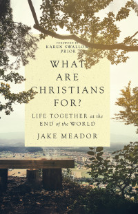 Jake Meador; — What Are Christians For?