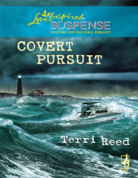 Terri Reed — Covert Pursuit