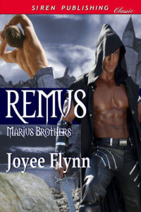 Joyee Flynn — Remus (Marius Brothers #2)