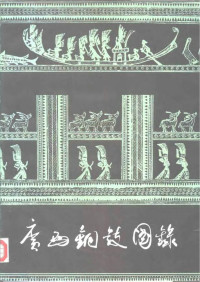 广西壮族自治区博物馆 — 广西铜鼓图录