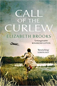 Elizabeth Brooks — Call of the Curlew